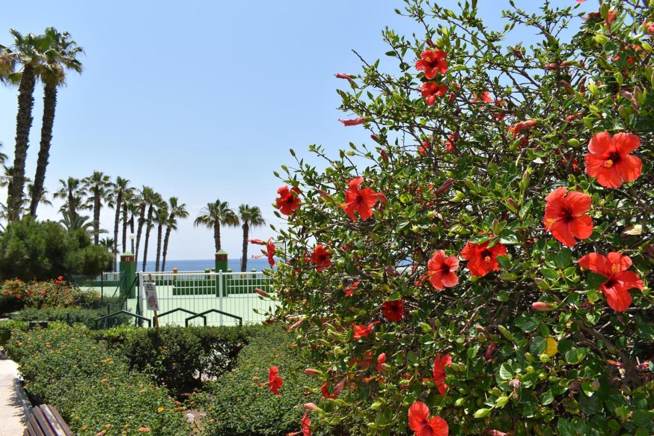 Ferienwohnung Fantastic Studio - Beachfront Torrox Exterior foto